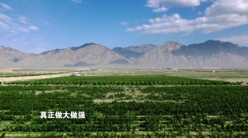 中国首部葡萄酒电视剧！央视一台黄金时段开播