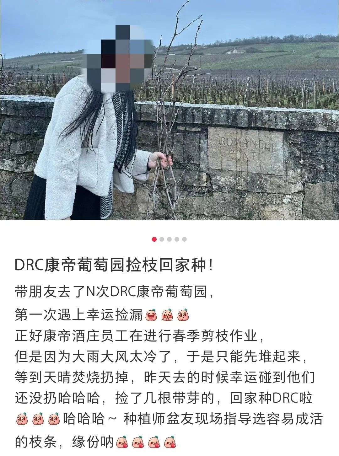 去国外葡萄园这件事千万别做