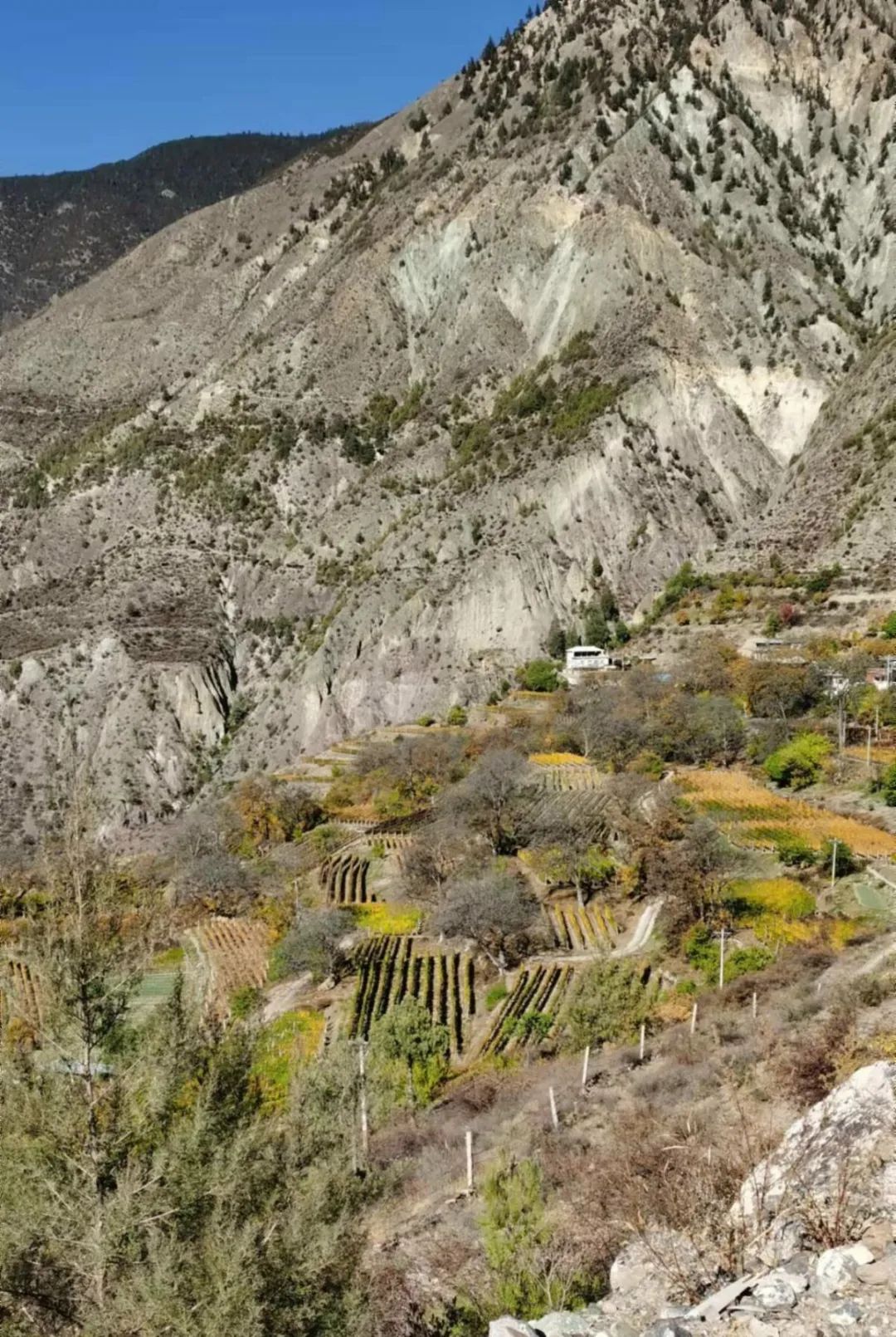 喜马拉雅下的敖云酒庄，能否撑起中国葡萄酒的高度？