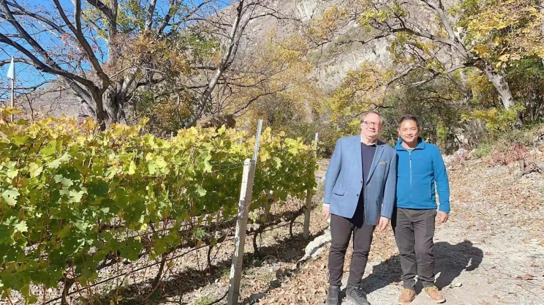 喜马拉雅下的敖云酒庄，能否撑起中国葡萄酒的高度？