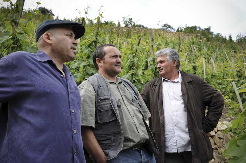 创始的三人：皮埃尔·嘉耶尔（Pierre Gaillard）、伊芙·古叶荣（Yves Cuilleron）和弗朗索瓦·维耶尔（François Villard），现在都是北罗纳河的顶级名家