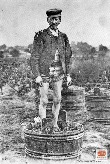一张罕见的摄于1910年前后的照片，记录下了100多年前法国卢瓦尔河谷Sologne地区的酒农劳作酿酒的场景。到今天一些酒庄还保留着脚踩葡萄破皮的传统。不过真的不光有少女的芳足，还可能会有大叔的汗脚...点击图片查看更多老照片...点击图片查看更多老照片