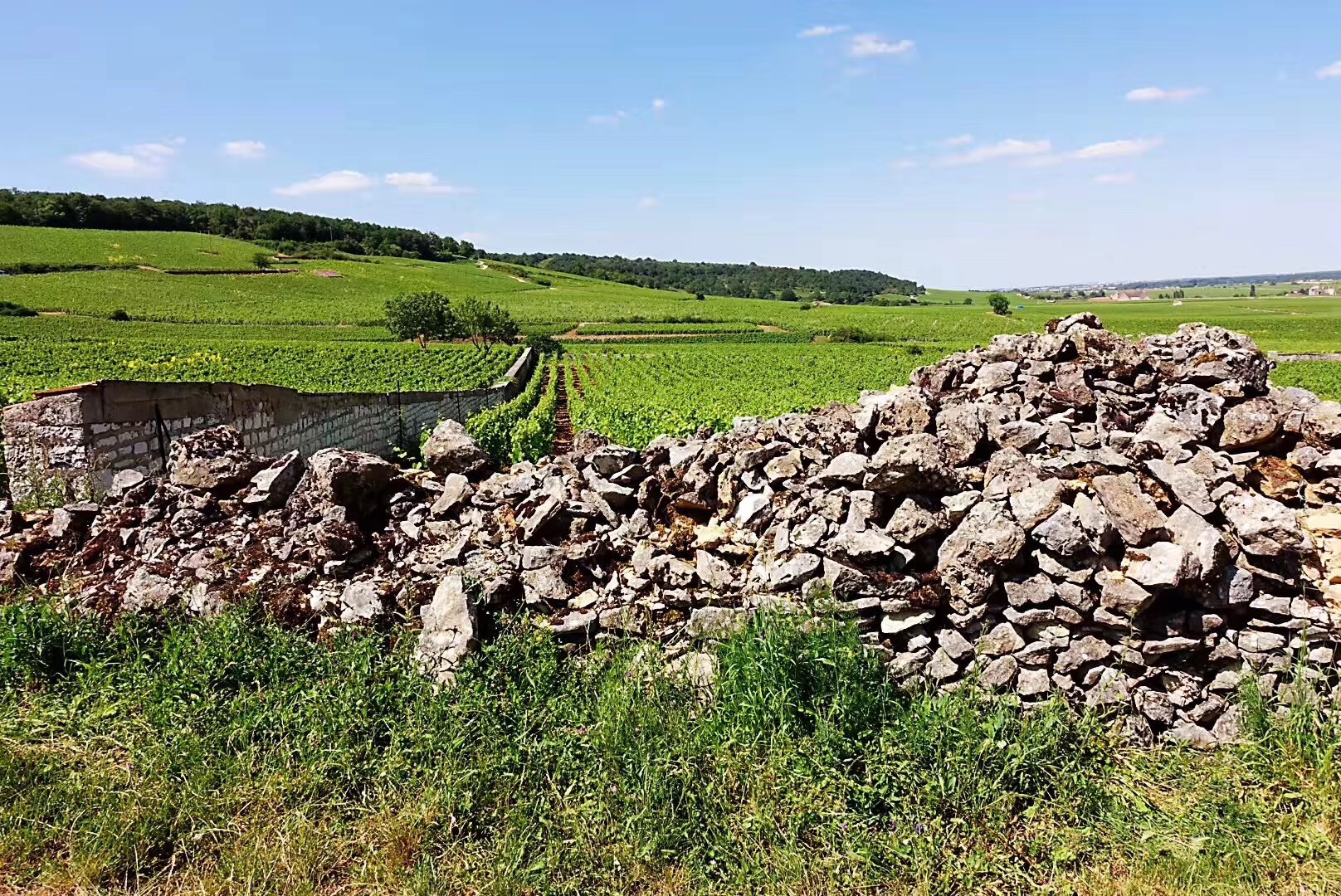 Cros Parantoux一级园旁边Henri Jayer堆起来的石墙，来源：知味葡萄酒杂志 朱思维
