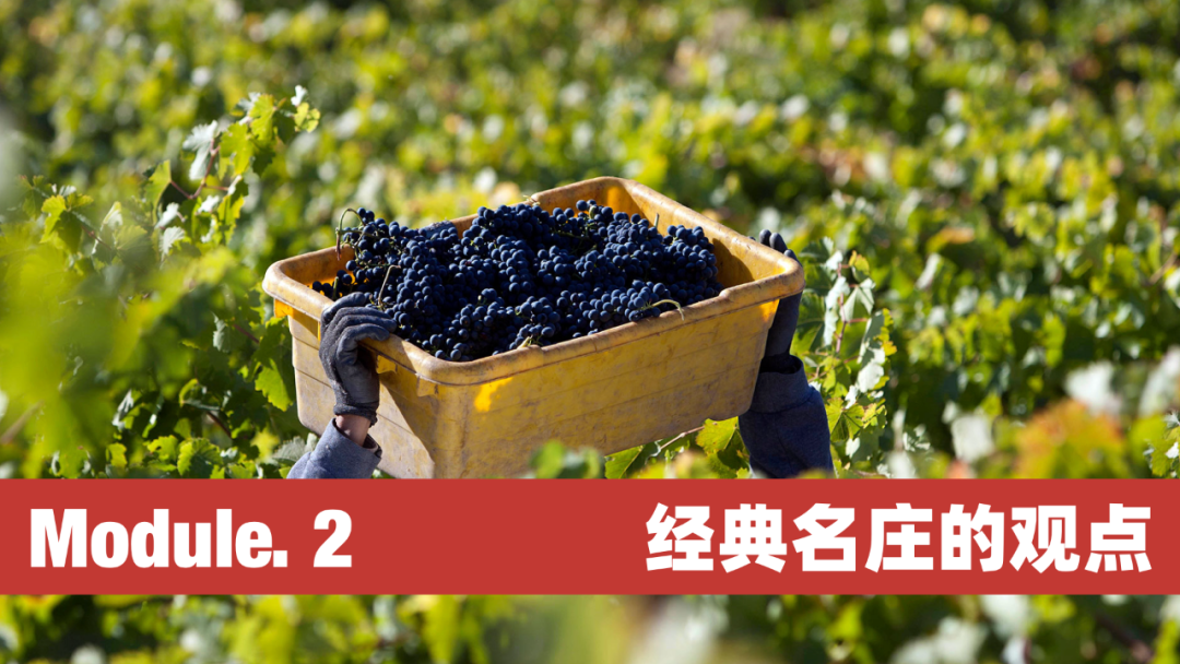 这堂课有关于美酒和风土的一切,错过等一年! 这堂课有关于美酒和风土的一切,错过等一年!