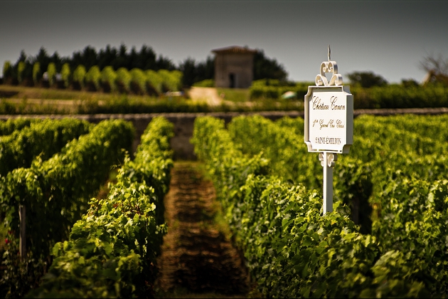 2012年份，以早开花的梅洛 (merlot) 为主要葡萄品种的产区在品质上占得先机，来源：Michael Redfern