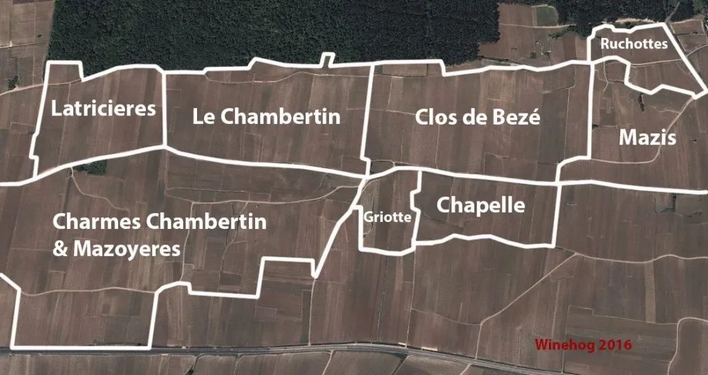 勃艮第Gevrey-Chambertin村九大特级园争霸，哪家名庄胜出？