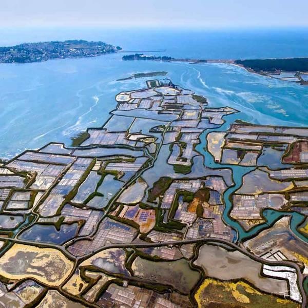 法国盖朗德的盐场，来源：Guerande Tourism