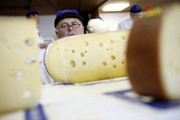 “奶酪工厂”制作的大型奶酪
