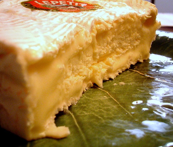 卡门培尔奶酪（Camembert）  图片来源：telepathicparanoia