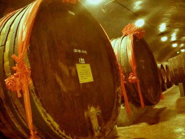 张裕酒厂里保留的一些百年老桶，大多都来自昔日张弼士南洋橡木种植园