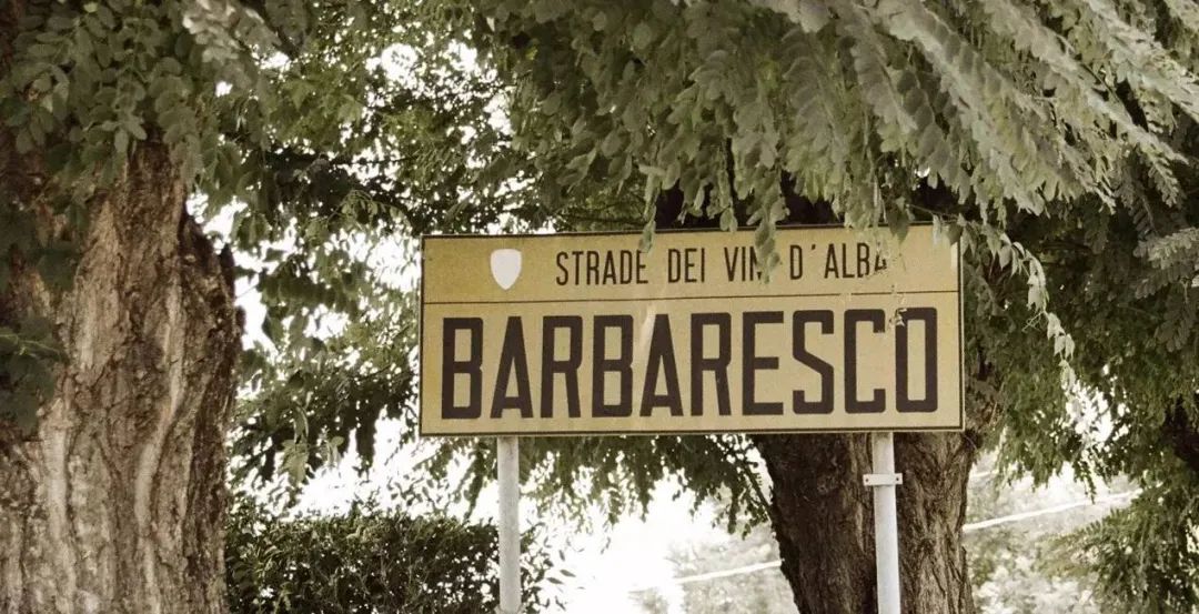 意大利Barbaresco五大特级园之一Rabaja的前世今生