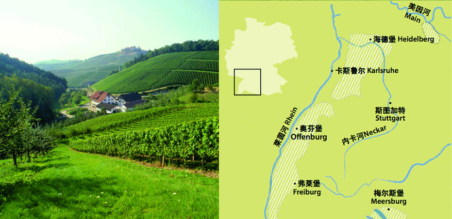 左图为奥特瑙区的葡萄园