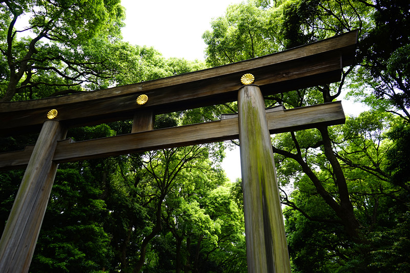 明治神宫的大鸟居是日本最大的木制鸟居