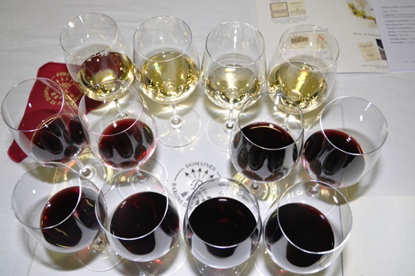 接受品鉴的拉菲罗斯柴尔德集团旗下2008和2009两个年份的12款酒