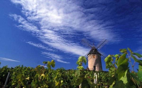 风车磨坊村（Moulin-à-Vent），来源Daniel Gillet/InterBeaujolais