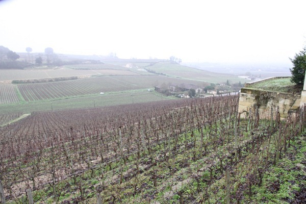 欧颂酒庄（Château Ausone）的葡萄园，在一片东南向的坡地上，顶部有一圈岩石