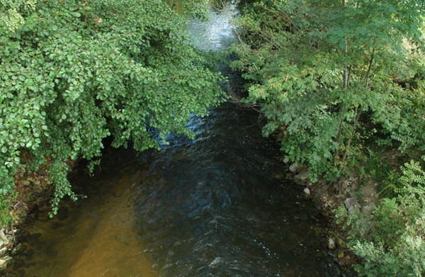 树荫覆盖下的希隆河（Ciron）