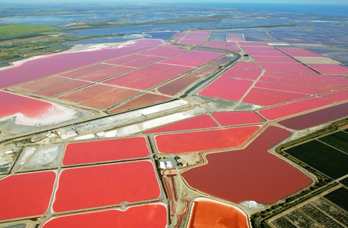 法国南部卡马格（Camargue）的盐场，水的颜色非常神奇地呈现为玫瑰色