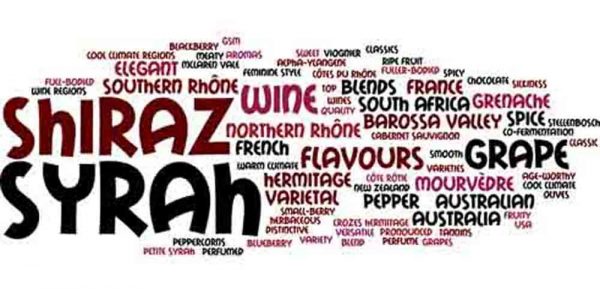syrah-shiraz-grape-attributes