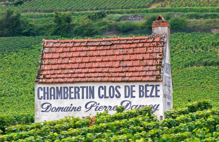 Vineyard. Chambertin Clos de Beze Domaine Pierre Damoy. Gevrey Chambertin, Cote de Nuits, d'Or, Burgundy, France