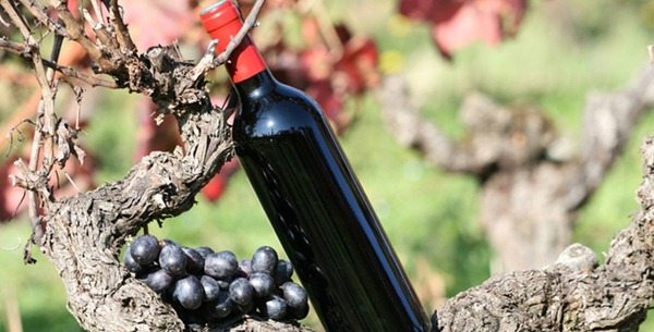bouteille-de-vin-rouge-2009年份梅铎克产区10大性价比最高的副牌酒fotolia