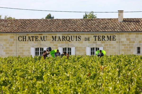 采收季节的 德达侯爵酒庄（Château Marquis de Terme），来源：Château Marquis de Terme