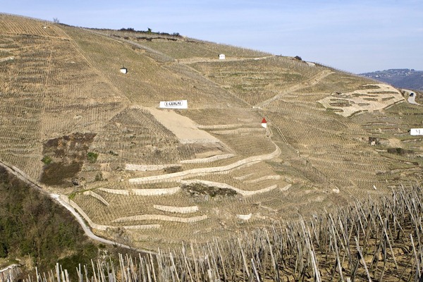 罗帝丘 Côte Rôtie的葡萄园大多在陡峭的山坡上，来源：vdltwine