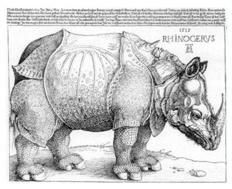 《丟勒的犀牛》，由阿尔布雷希特·丢勒绘制，画家其实从未见过真的犀牛