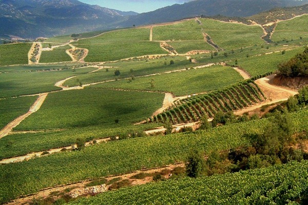 蒙特斯酒厂（Montes）在阿帕尔塔（Apalta）山谷的葡萄园，来源：Montes
