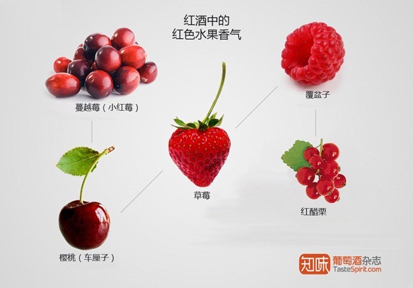 红酒中的红色水果香气，图片翻译自：WineFolly