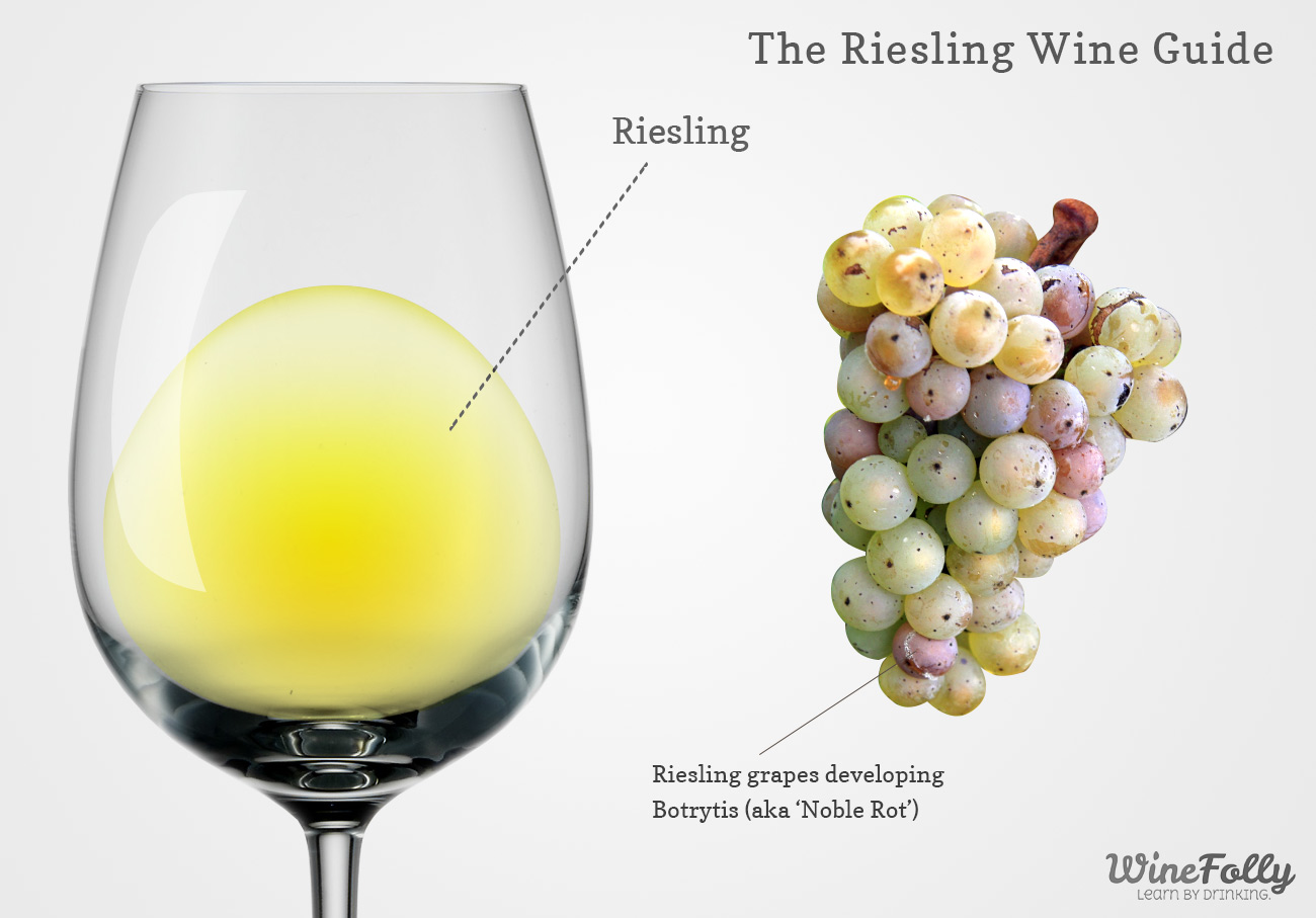riesling-wine-in-a-glass-with-grapes