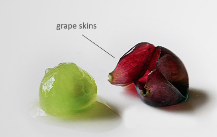 即使是红葡萄，也只有葡萄皮是带有颜色的，图片来源：winefolly.com