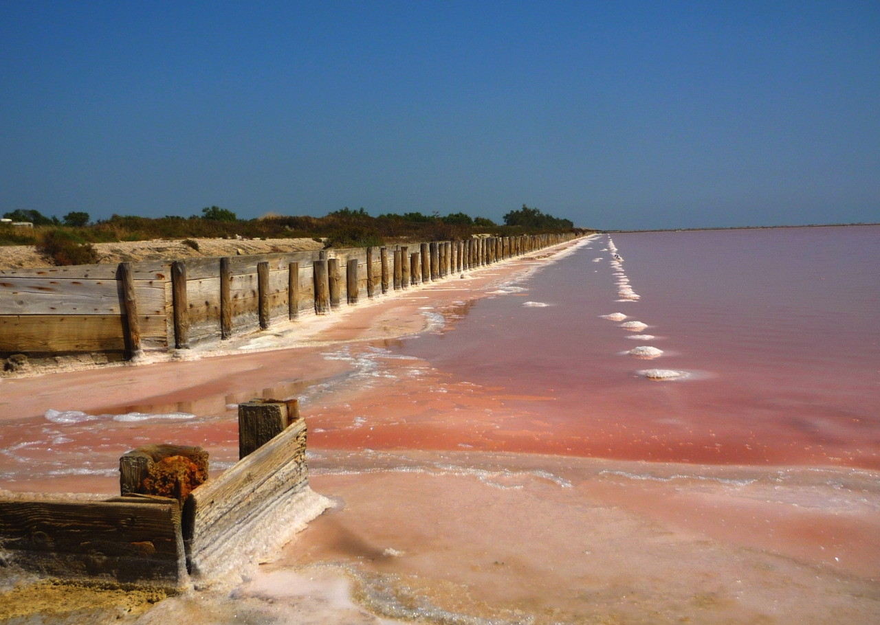 卡马格的盐田，粉色岩田中的白色凸起，是盐农将盐花聚拢在一起形成的