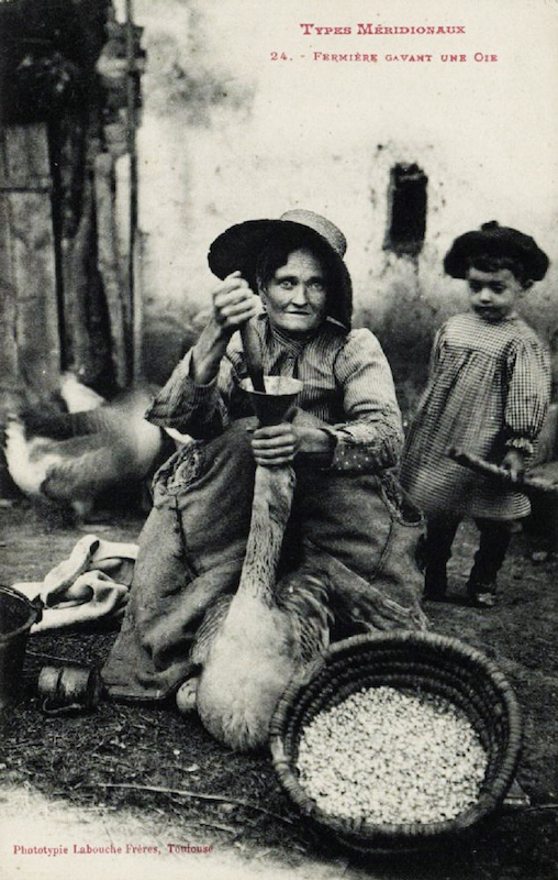 农妇填育肥鹅的照片，拍摄于1910s