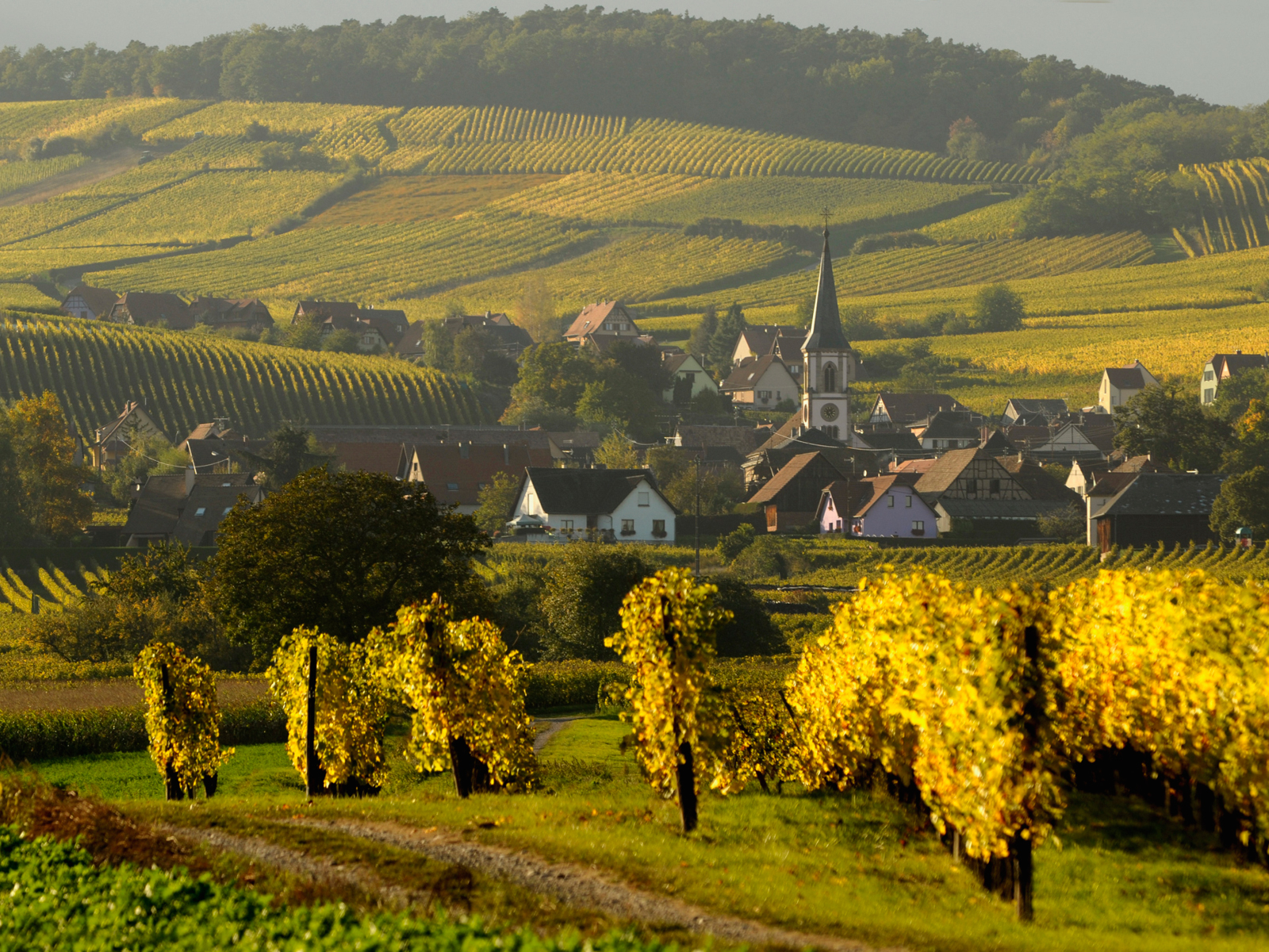 village-de-rorschwihr-sur-la-route-des-vins-d-alsace