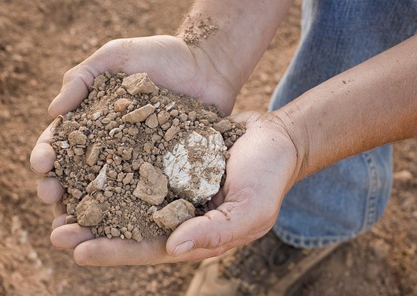 丽山的典型土质：粘土与弗朗西斯科绿石的混合，底土为石灰岩碎片，来源：Ridge Vineyards