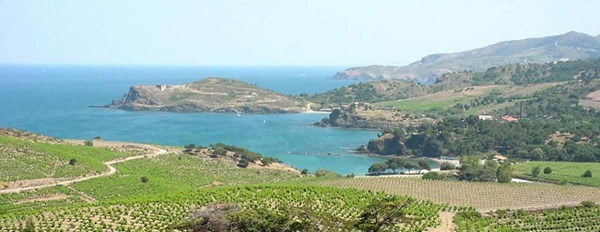 法国南部露西龙Roussillon临海的葡萄园