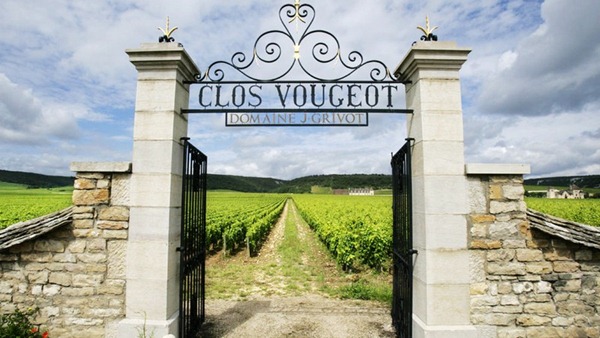 格里沃酒庄（Domaine Jean Grivot）的武戎园（Clos Vougeot）葡萄园，来源：Clay McLachlan